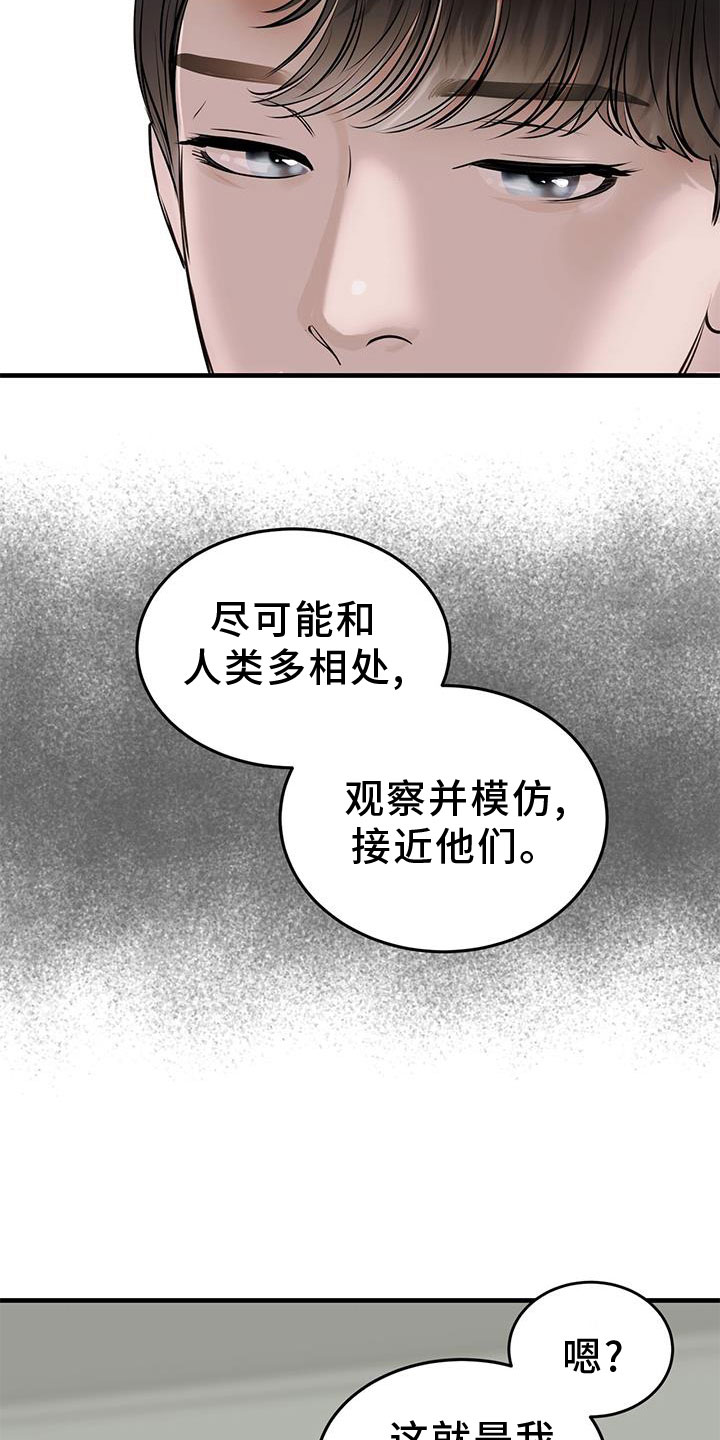 《镜子里的陌生人》漫画最新章节第27章：奇妙的存在免费下拉式在线观看章节第【18】张图片