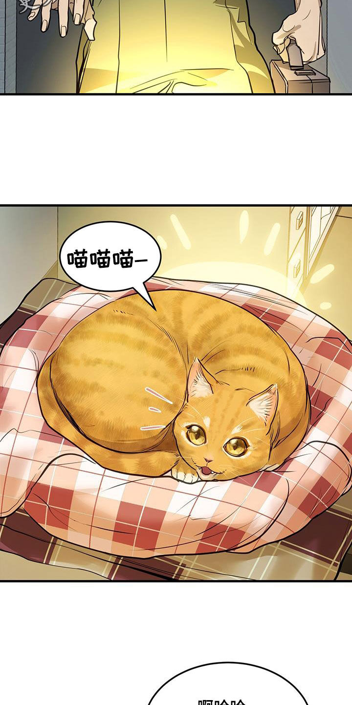 镜子里的陌生人-第28章：对猫过敏全彩韩漫标签
