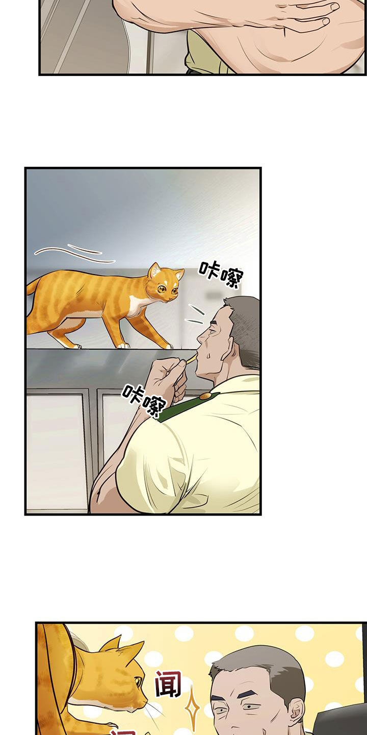 镜子里的陌生人-第28章：对猫过敏全彩韩漫标签