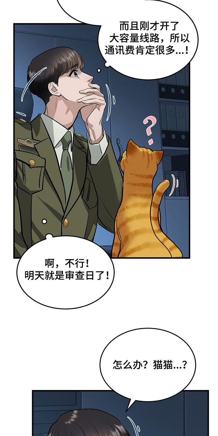镜子里的陌生人-第31章：猫主人全彩韩漫标签