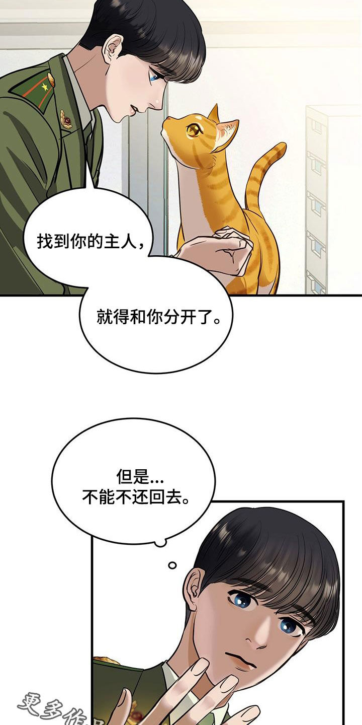 《镜子里的陌生人》漫画最新章节第31章：猫主人免费下拉式在线观看章节第【2】张图片