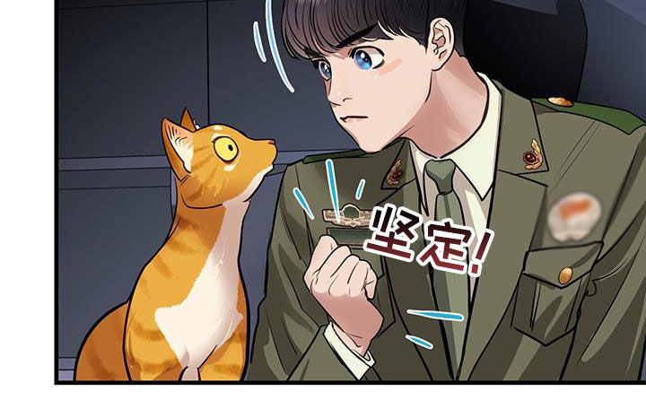 《镜子里的陌生人》漫画最新章节第31章：猫主人免费下拉式在线观看章节第【7】张图片