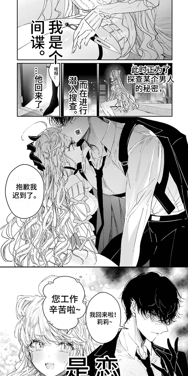 《灰姑娘的专属刺客》漫画最新章节第1章：刺客与间谍免费下拉式在线观看章节第【7】张图片