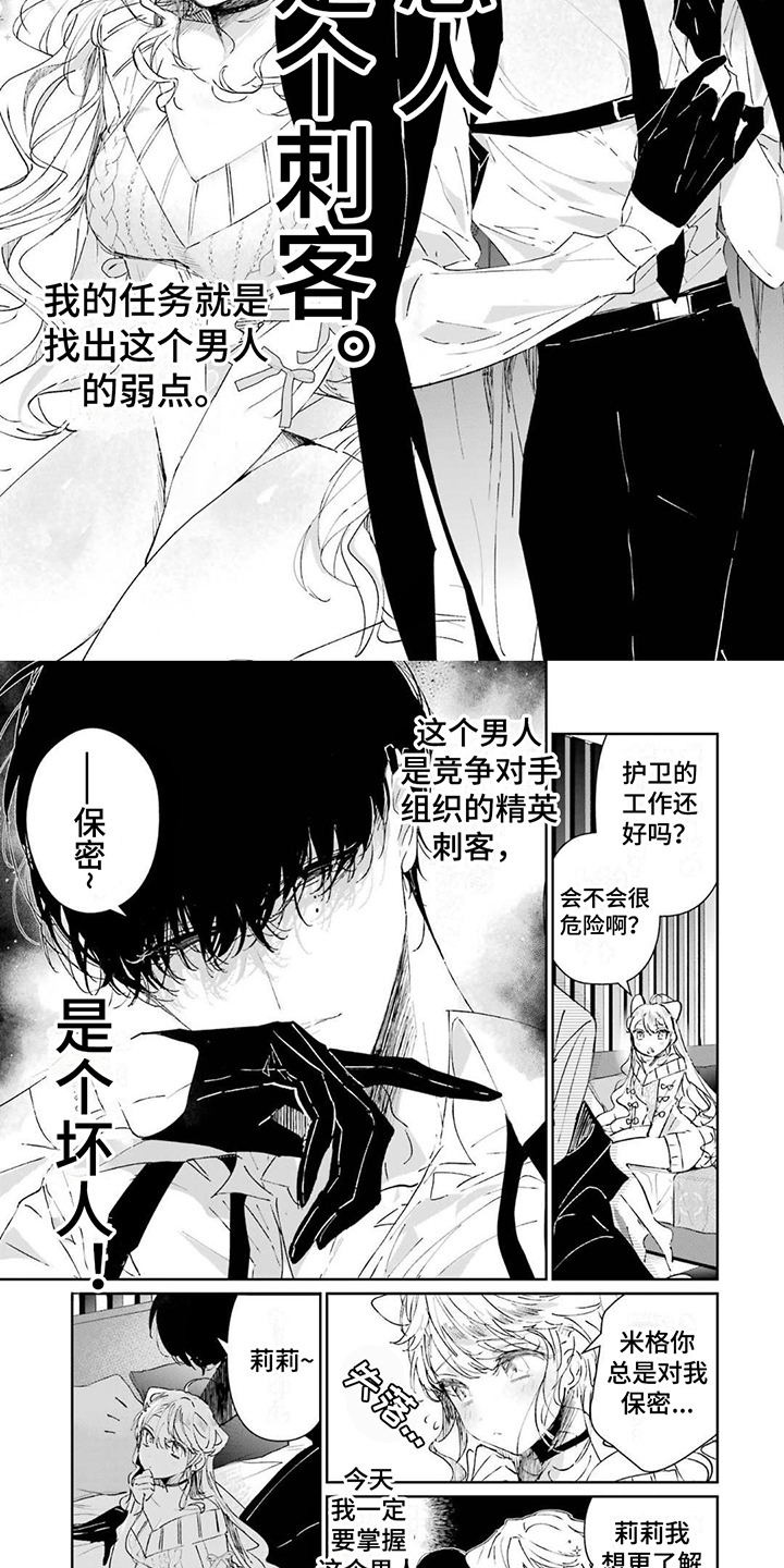 《灰姑娘的专属刺客》漫画最新章节第1章：刺客与间谍免费下拉式在线观看章节第【6】张图片