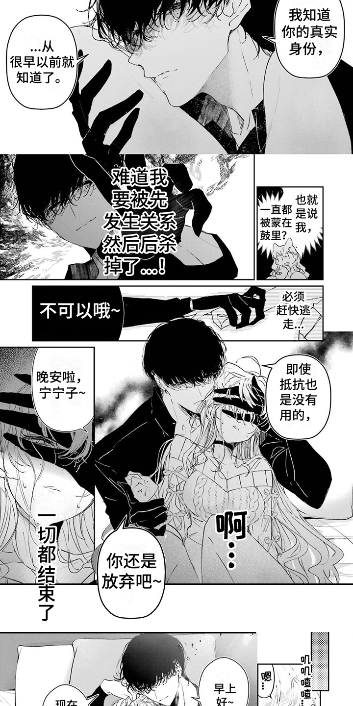 《灰姑娘的专属刺客》漫画最新章节第1章：刺客与间谍免费下拉式在线观看章节第【3】张图片