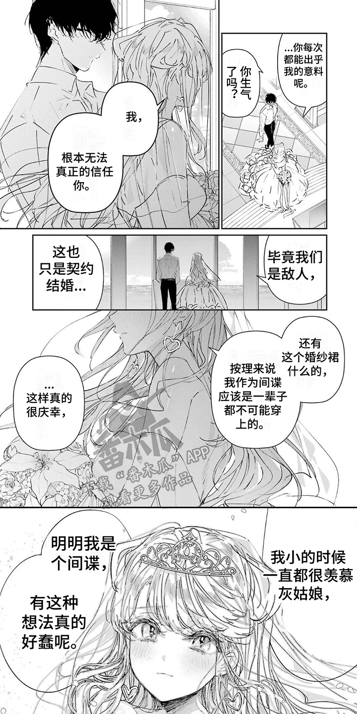 《灰姑娘的专属刺客》漫画最新章节第5章：灰姑娘免费下拉式在线观看章节第【8】张图片