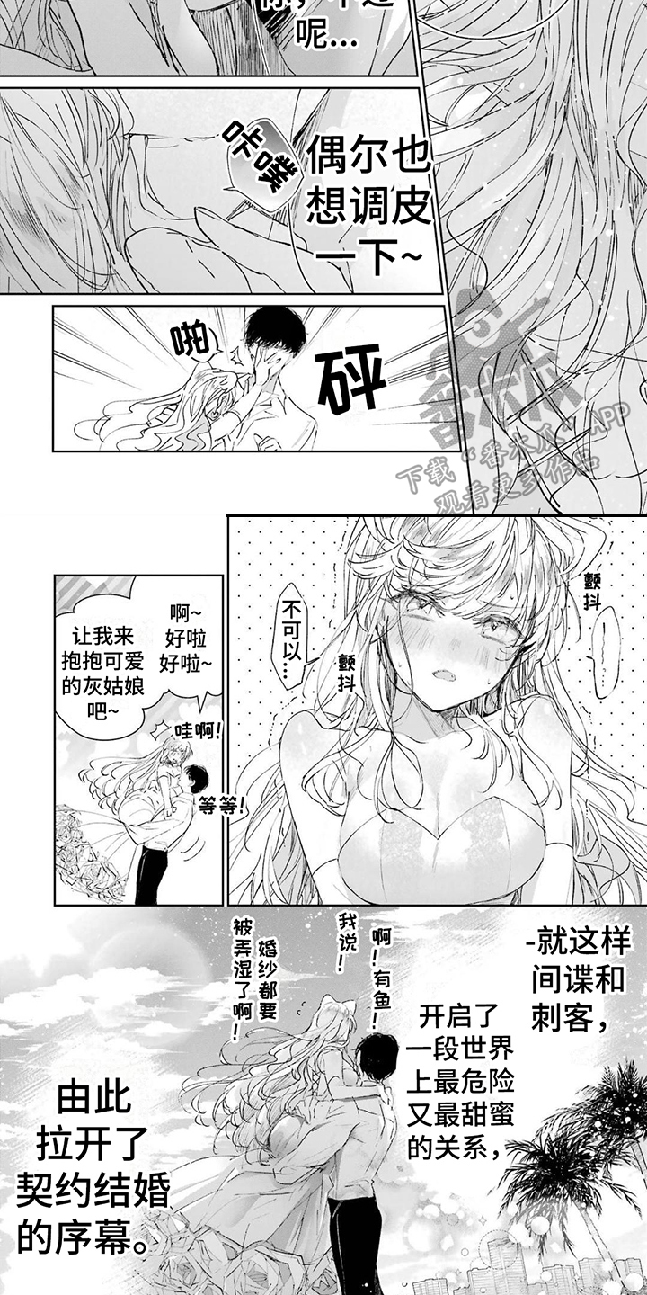 《灰姑娘的专属刺客》漫画最新章节第5章：灰姑娘免费下拉式在线观看章节第【2】张图片