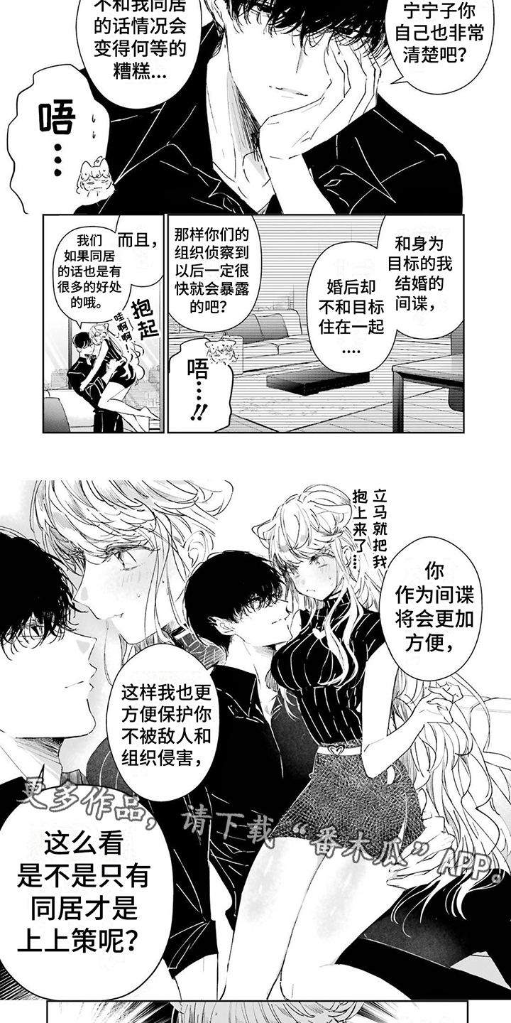 《灰姑娘的专属刺客》漫画最新章节第6章：暗中观察免费下拉式在线观看章节第【6】张图片