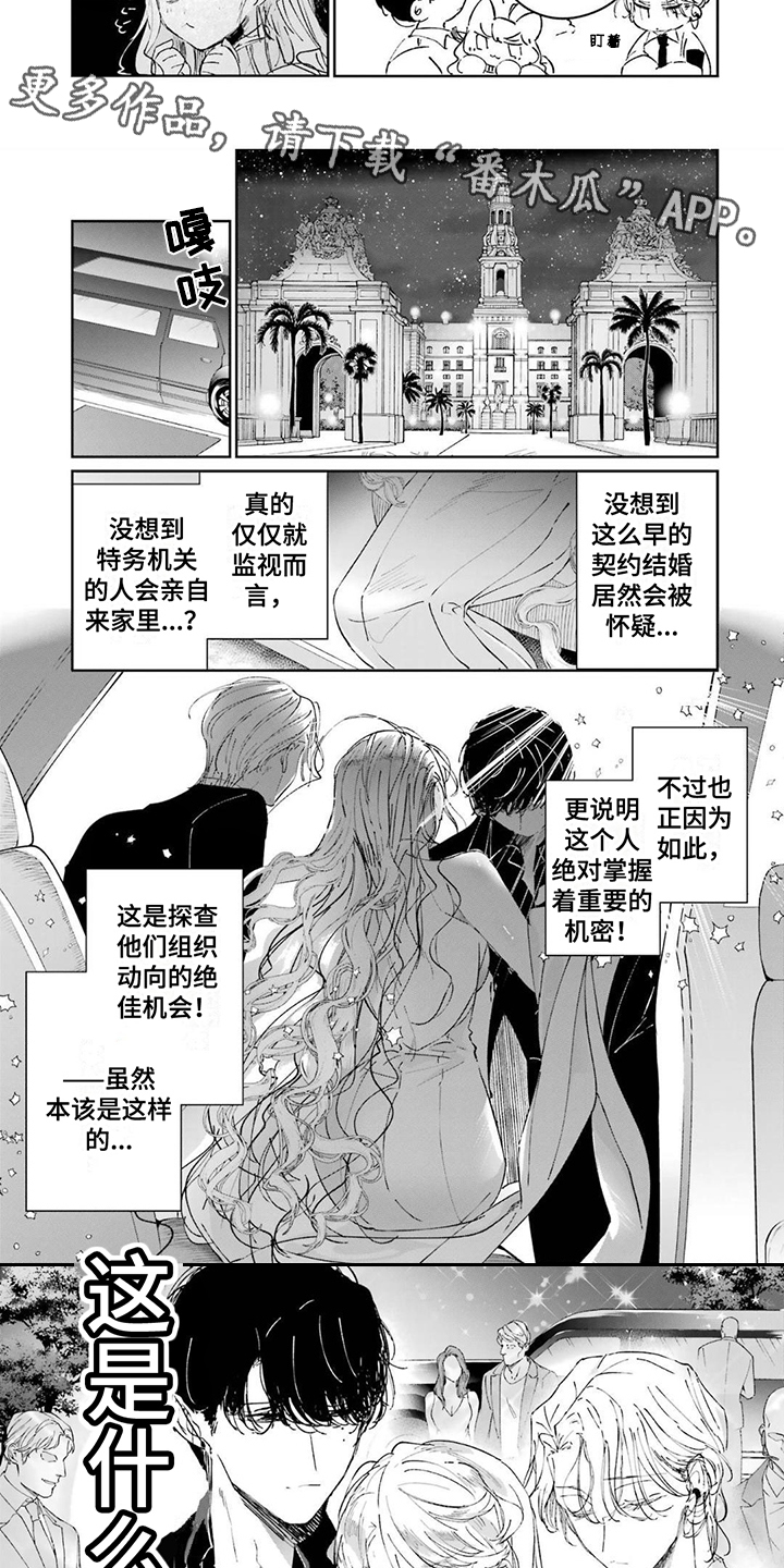 《灰姑娘的专属刺客》漫画最新章节第10章：宴会免费下拉式在线观看章节第【6】张图片