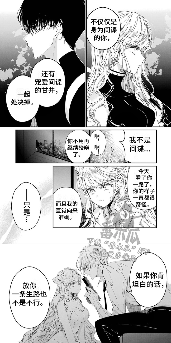 《灰姑娘的专属刺客》漫画最新章节第14章：逼问免费下拉式在线观看章节第【8】张图片