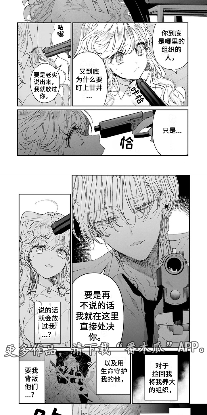 《灰姑娘的专属刺客》漫画最新章节第14章：逼问免费下拉式在线观看章节第【7】张图片