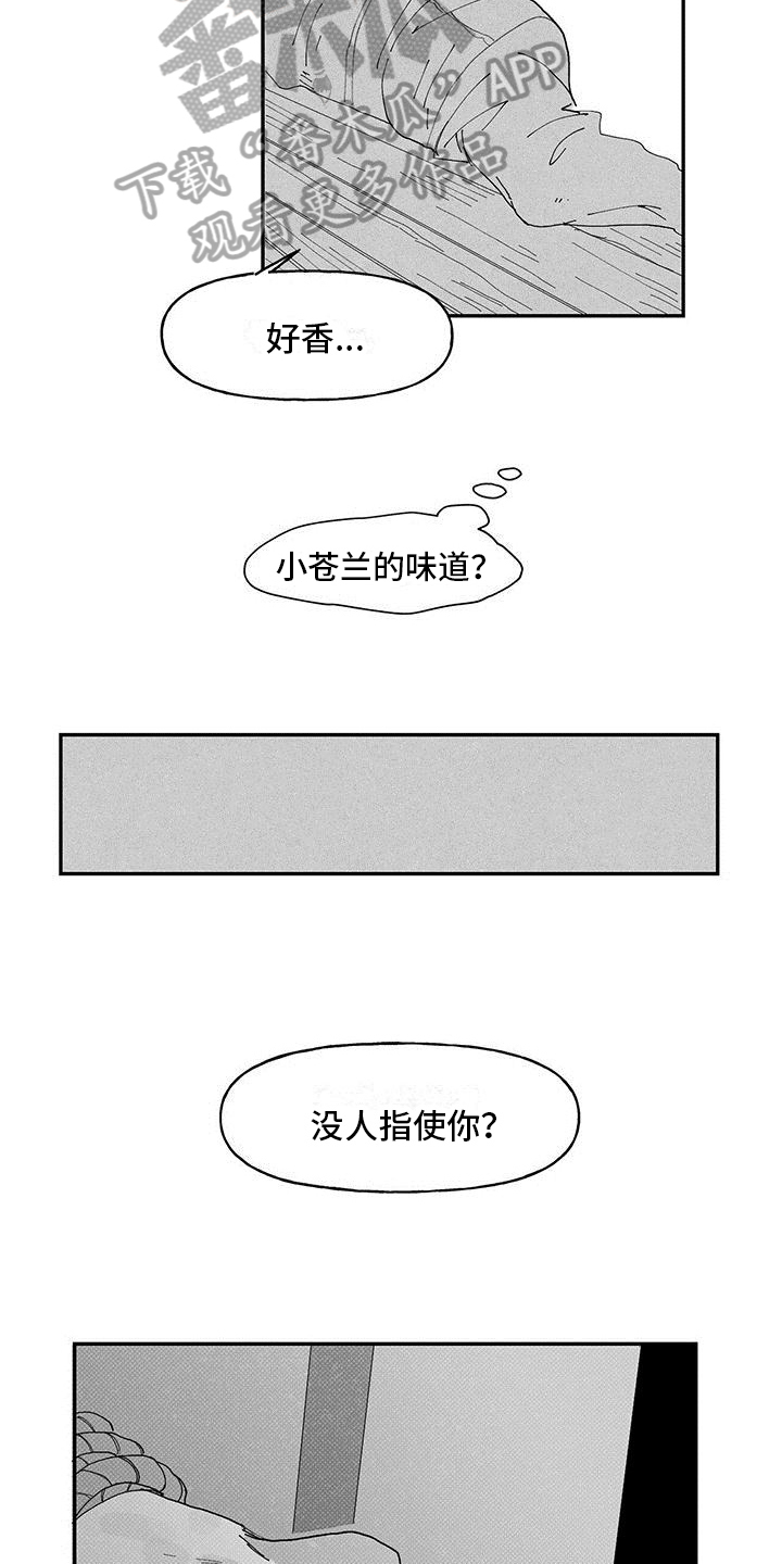 《黄色天空》漫画最新章节第10章：经历免费下拉式在线观看章节第【15】张图片