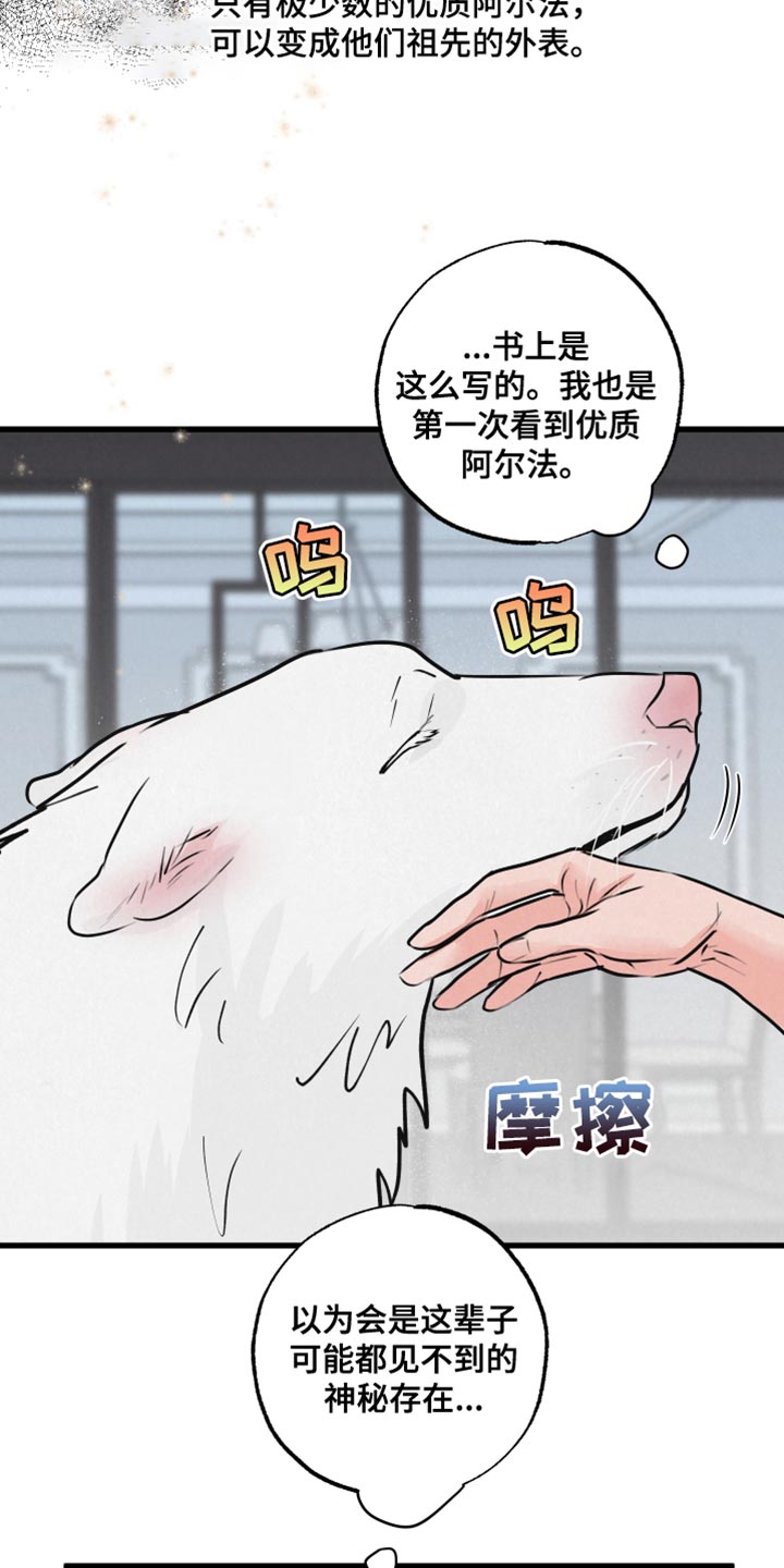 《热量狂飙》漫画最新章节第15章：动物形状免费下拉式在线观看章节第【19】张图片