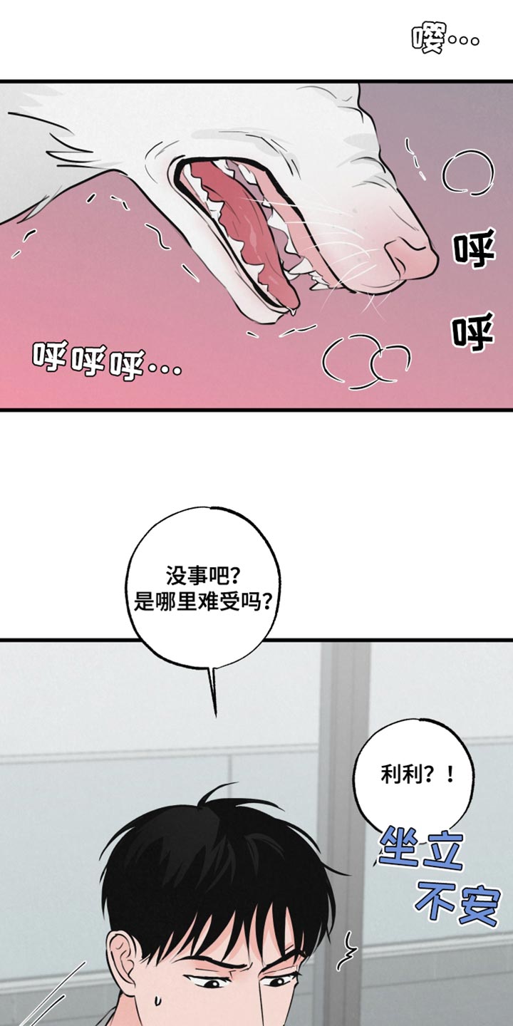 《热量狂飙》漫画最新章节第15章：动物形状免费下拉式在线观看章节第【9】张图片