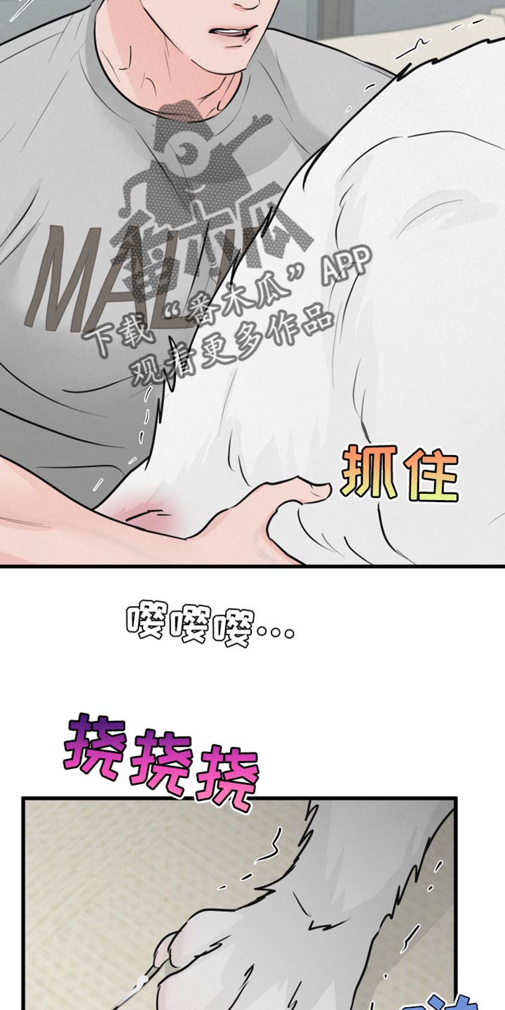 《热量狂飙》漫画最新章节第15章：动物形状免费下拉式在线观看章节第【8】张图片