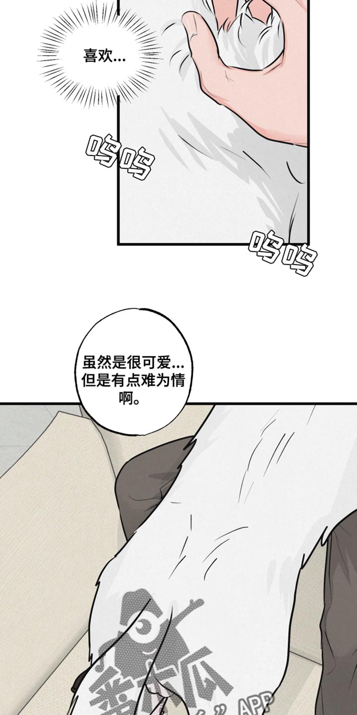 《热量狂飙》漫画最新章节第15章：动物形状免费下拉式在线观看章节第【16】张图片