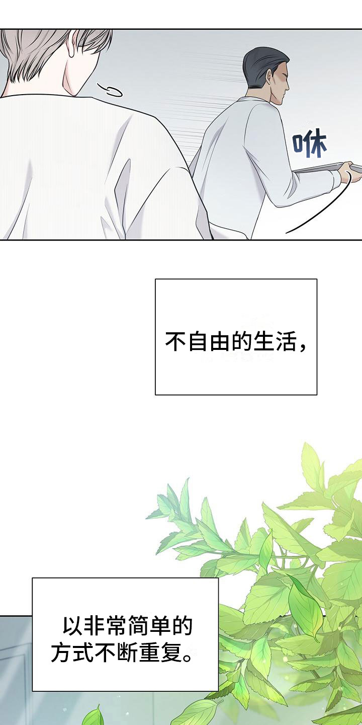 《纯白记忆》漫画最新章节第1章：起点免费下拉式在线观看章节第【19】张图片