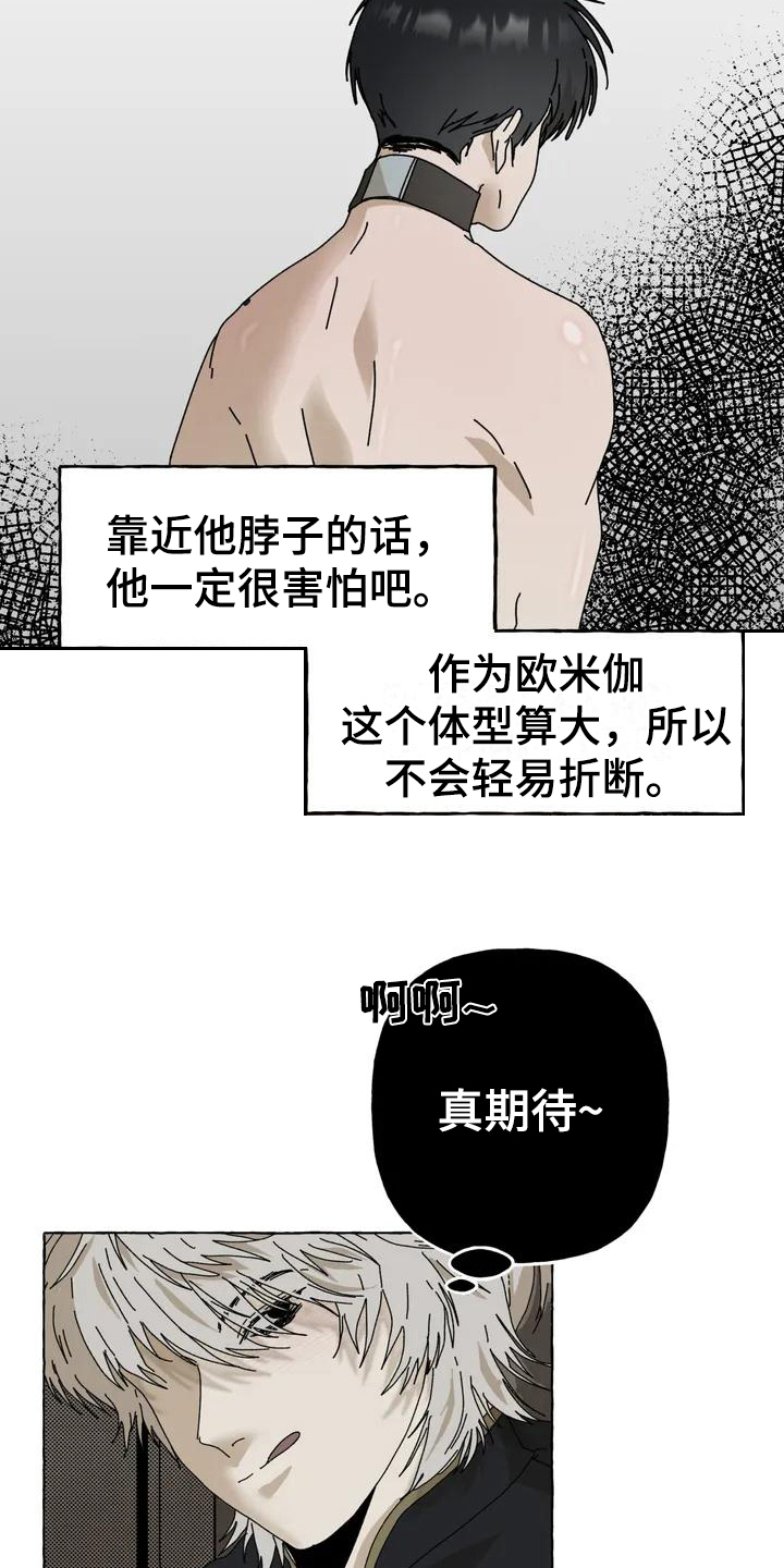 《倒三角》漫画最新章节第2章：喜欢免费下拉式在线观看章节第【4】张图片