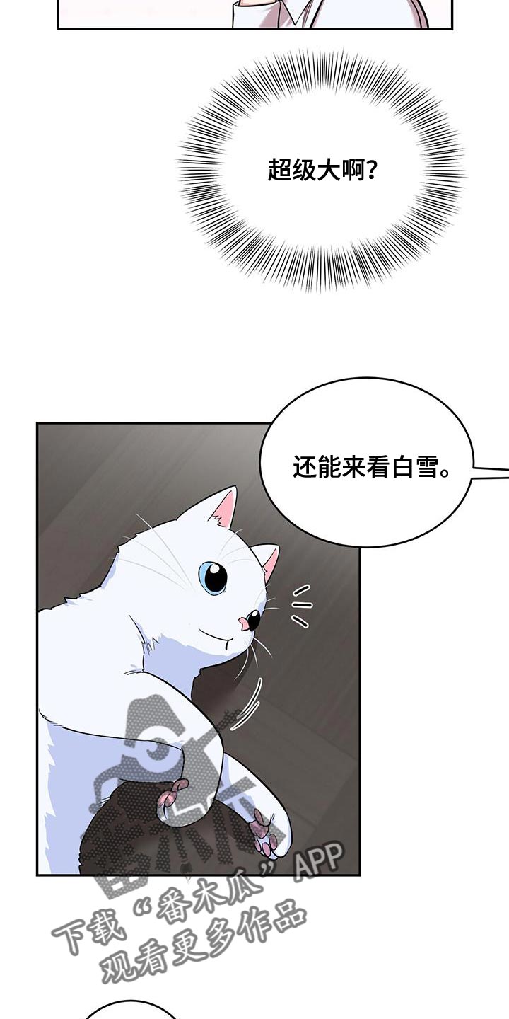 《已故恋人的邮件》漫画最新章节第33章：解决的办法免费下拉式在线观看章节第【15】张图片