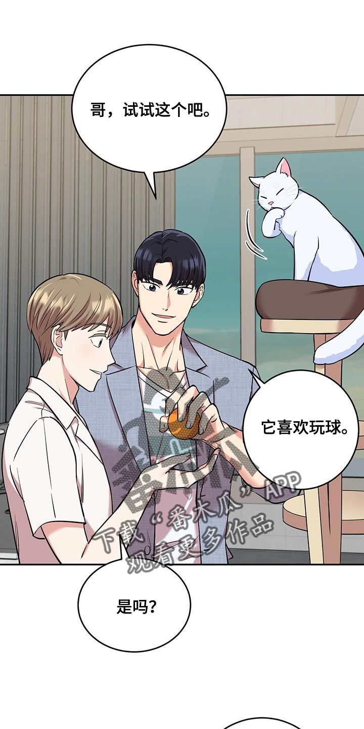 《已故恋人的邮件》漫画最新章节第38章：逗猫免费下拉式在线观看章节第【9】张图片