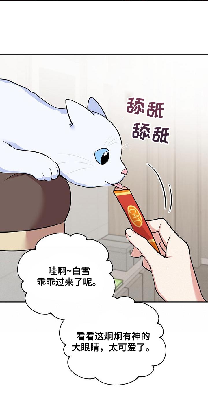 《已故恋人的邮件》漫画最新章节第38章：逗猫免费下拉式在线观看章节第【10】张图片