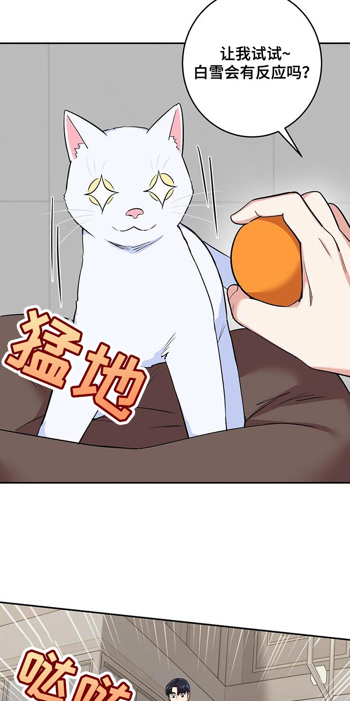 《已故恋人的邮件》漫画最新章节第38章：逗猫免费下拉式在线观看章节第【8】张图片