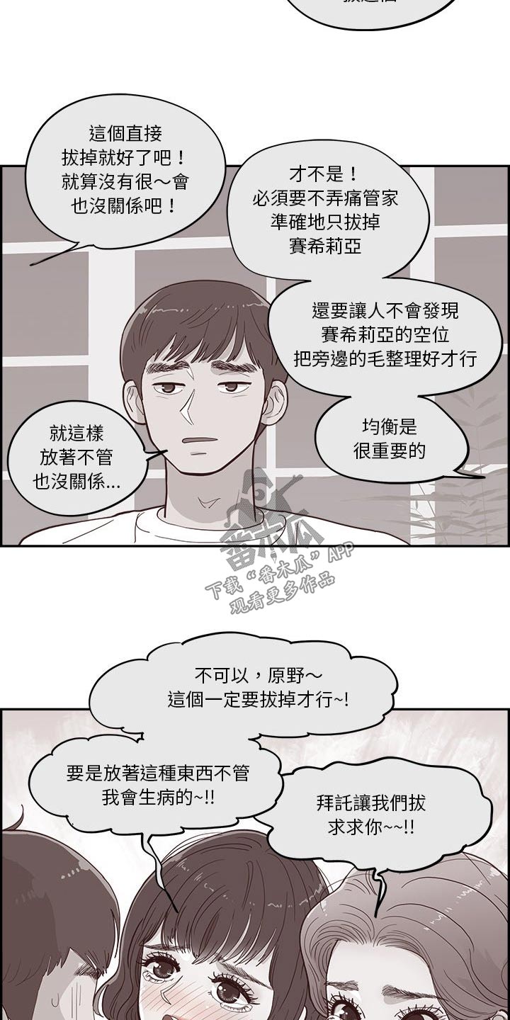 《原野爱李》漫画最新章节第45章：金色的免费下拉式在线观看章节第【11】张图片