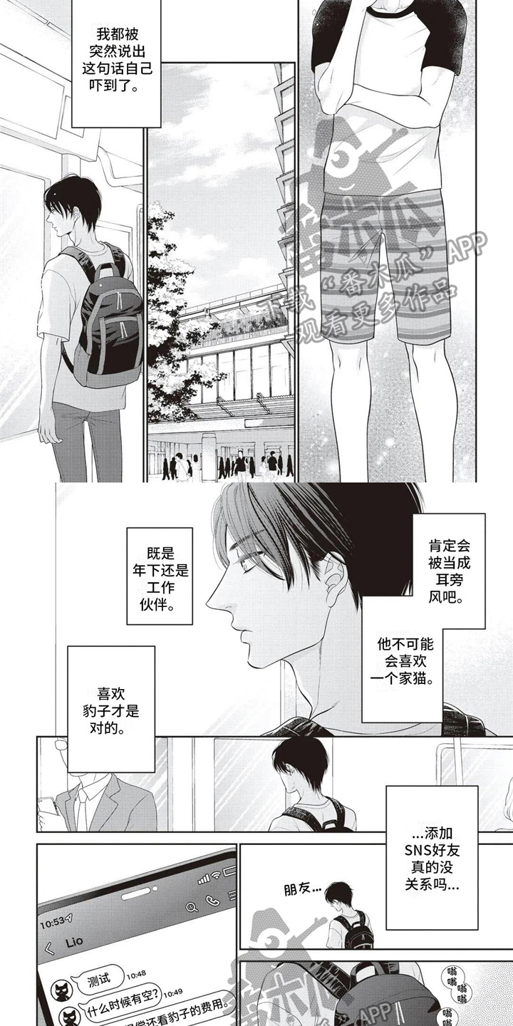 《无情王子》漫画最新章节第16章：不能喜欢免费下拉式在线观看章节第【5】张图片