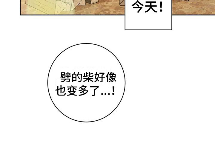 《糟糕的童话女篇》漫画最新章节第5章：劈柴免费下拉式在线观看章节第【1】张图片