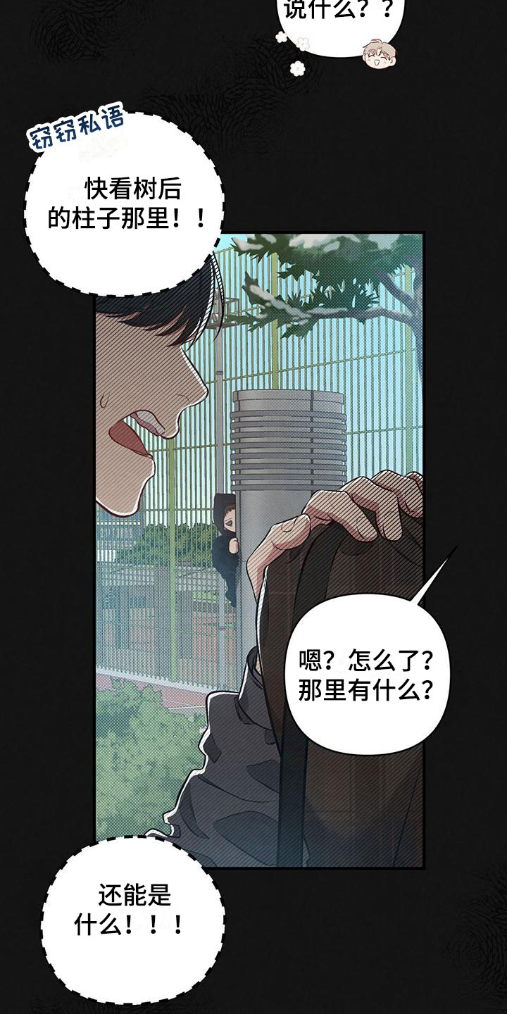 《强行分离》漫画最新章节第12章：这个疯子免费下拉式在线观看章节第【7】张图片