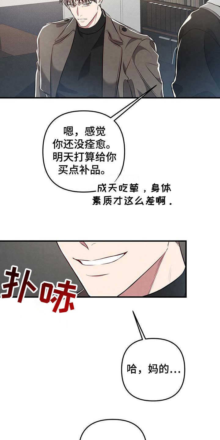 《强行分离》漫画最新章节第19章：什么叫悲惨免费下拉式在线观看章节第【11】张图片