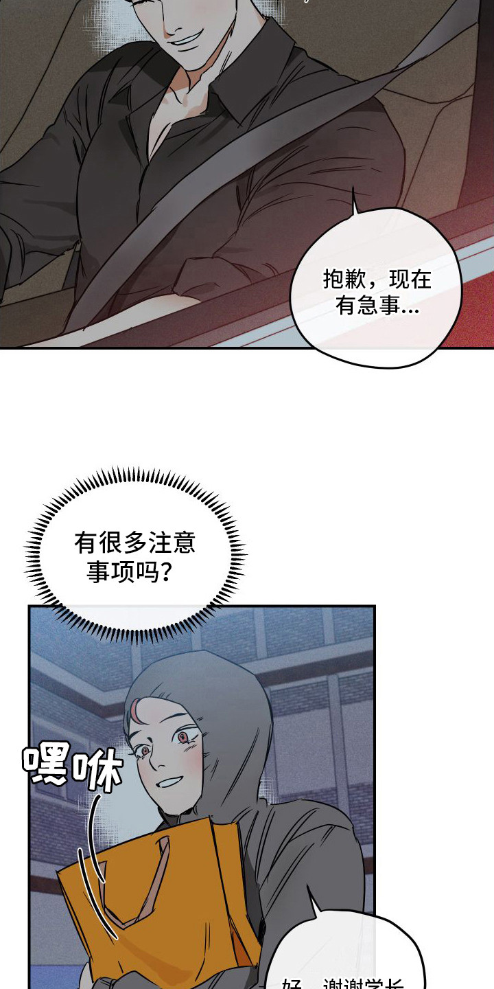 《绝对理想型》漫画最新章节第8章：小心翼翼免费下拉式在线观看章节第【11】张图片