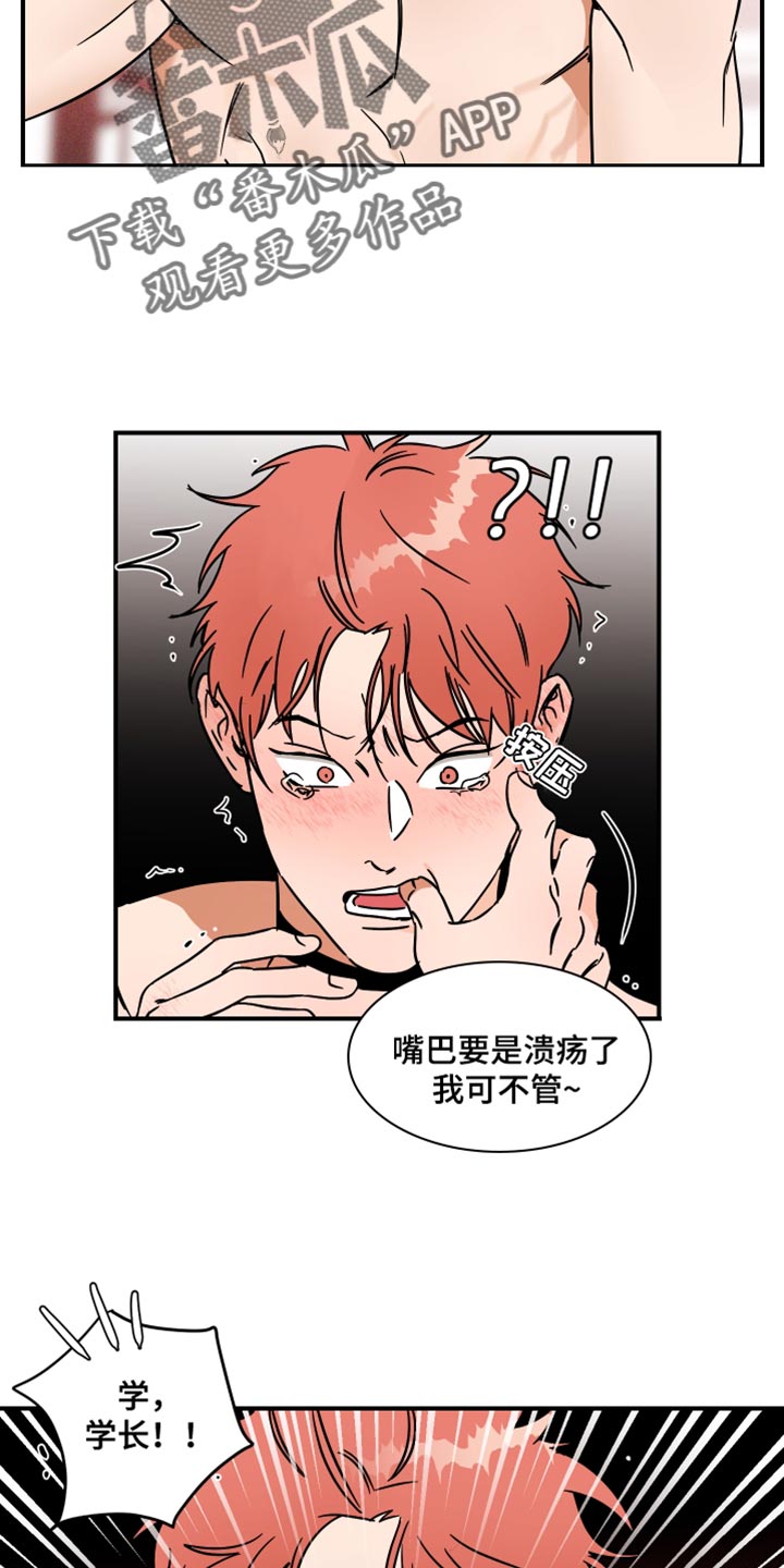 《绝对理想型》漫画最新章节第19章：妥协免费下拉式在线观看章节第【6】张图片