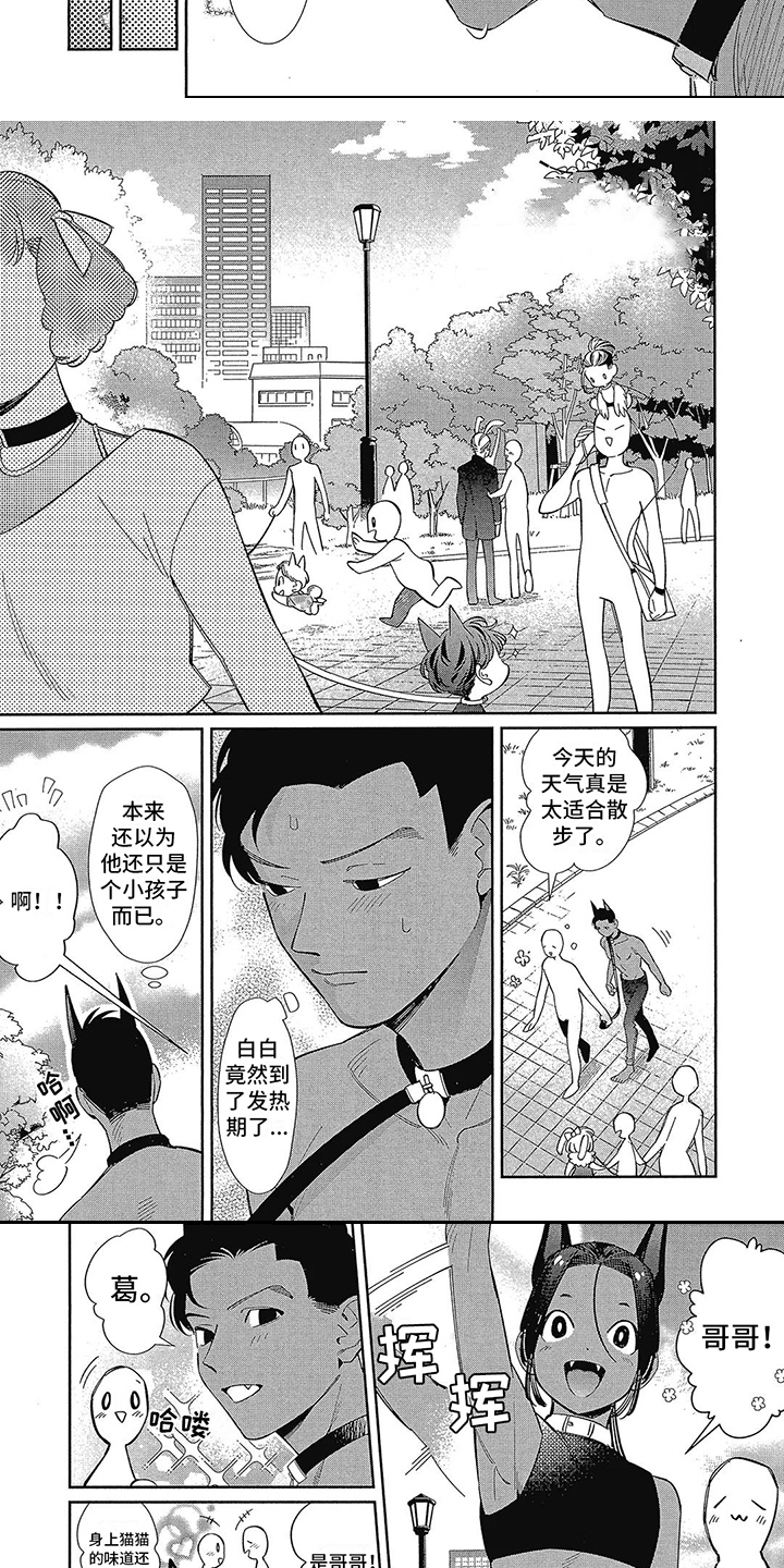 《猫狗一家亲》漫画最新章节第4章：散步免费下拉式在线观看章节第【6】张图片