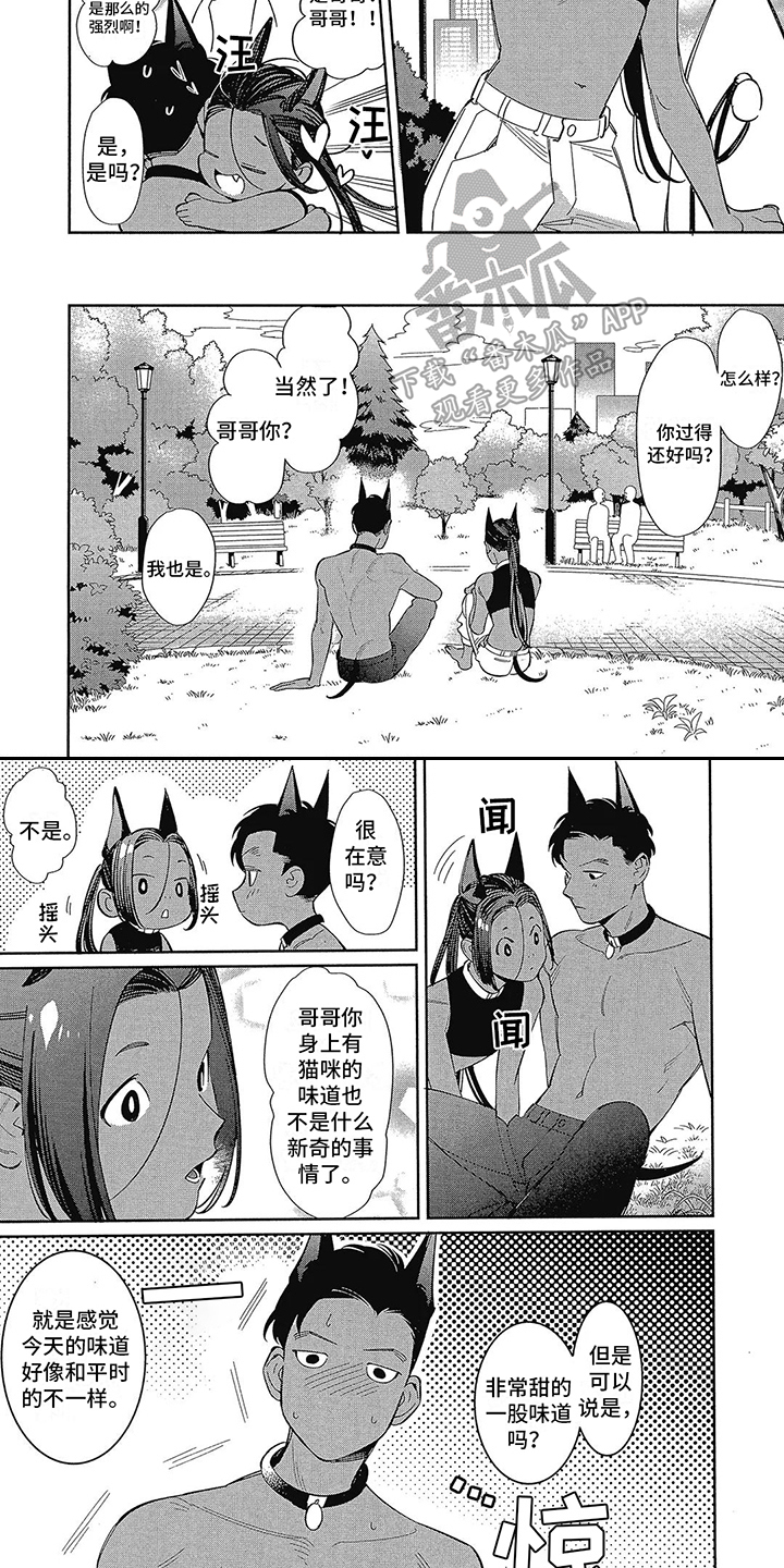 《猫狗一家亲》漫画最新章节第4章：散步免费下拉式在线观看章节第【5】张图片