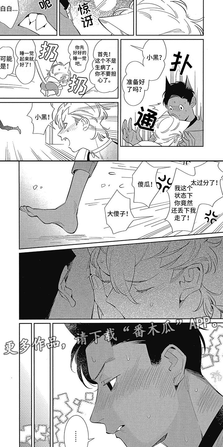 《猫狗一家亲》漫画最新章节第4章：散步免费下拉式在线观看章节第【7】张图片