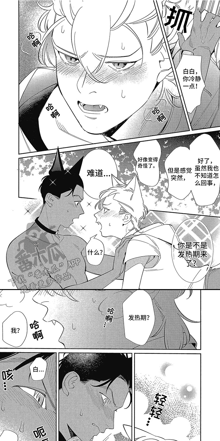 《猫狗一家亲》漫画最新章节第4章：散步免费下拉式在线观看章节第【8】张图片