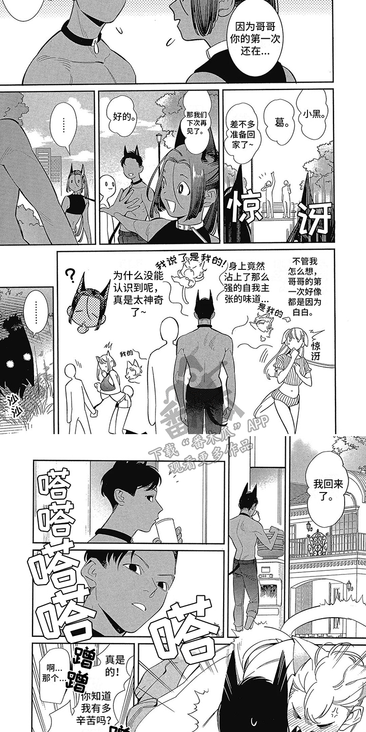 《猫狗一家亲》漫画最新章节第4章：散步免费下拉式在线观看章节第【3】张图片