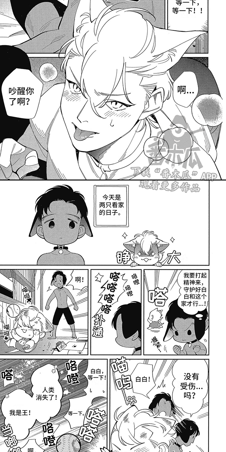 《猫狗一家亲》漫画最新章节第8章：吵醒了 免费下拉式在线观看章节第【5】张图片