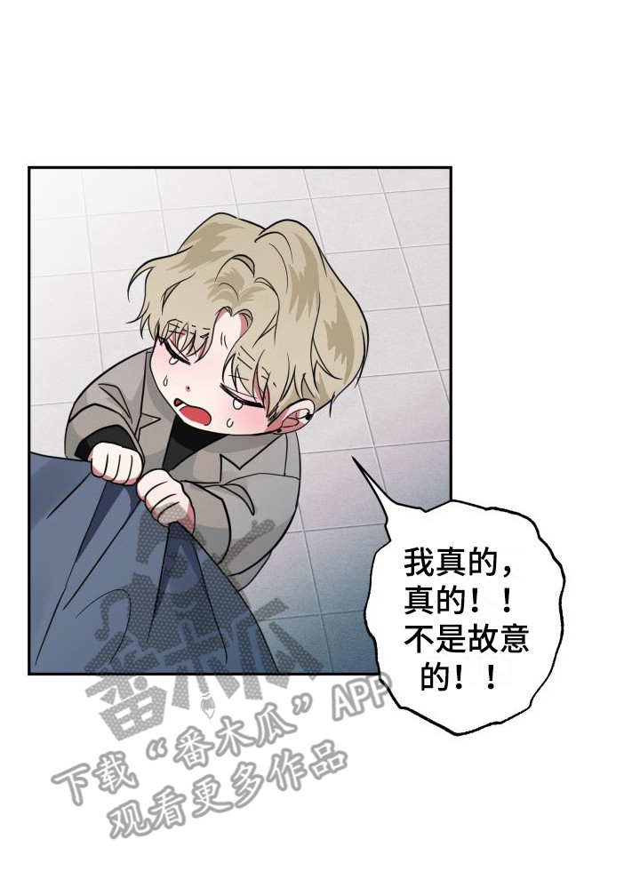 《师父的宝贝》漫画最新章节第19章：可怜兮兮免费下拉式在线观看章节第【1】张图片