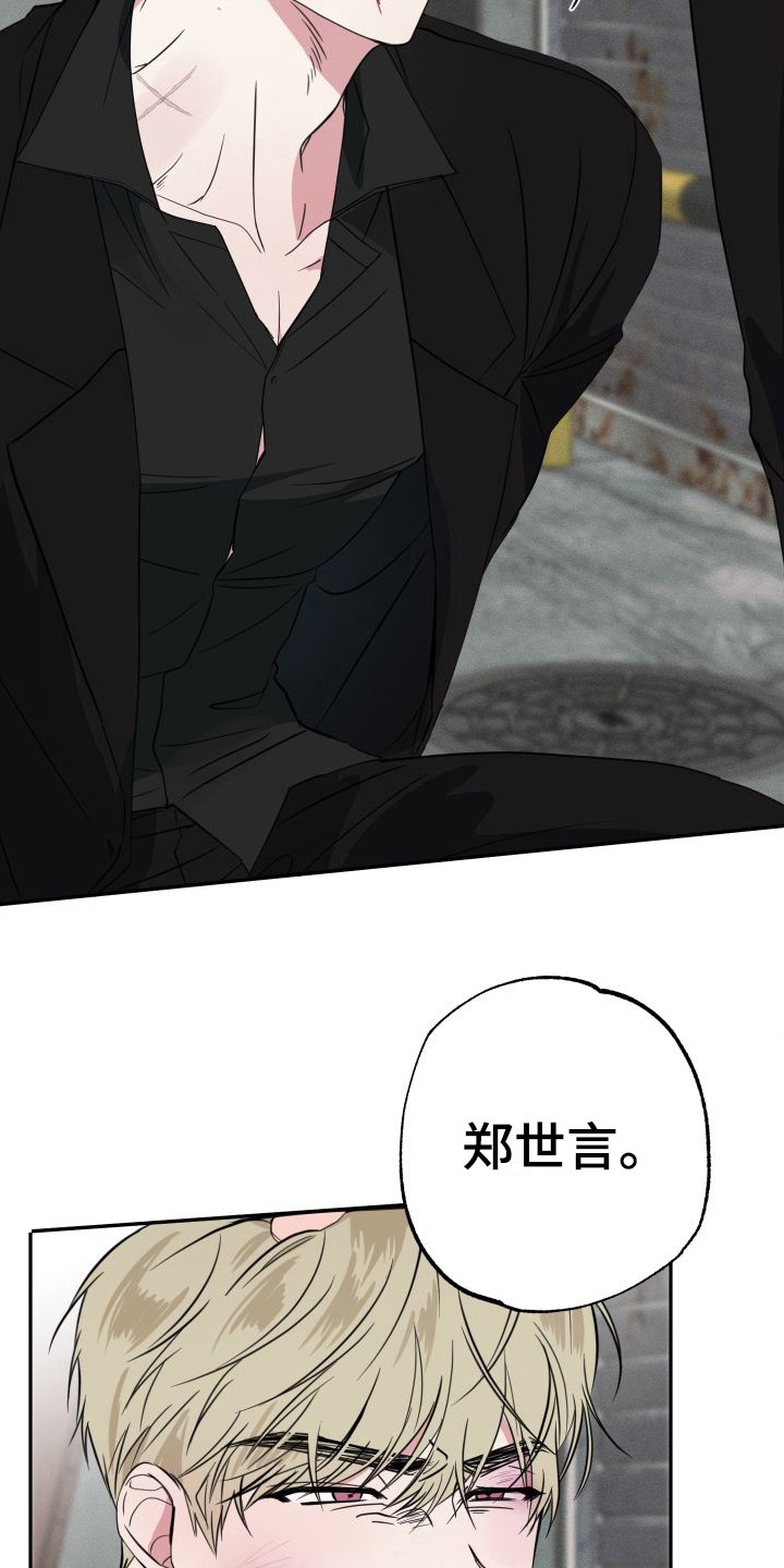 《师父的宝贝》漫画最新章节第17章：幕后黑手免费下拉式在线观看章节第【13】张图片