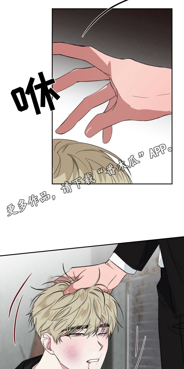 《师父的宝贝》漫画最新章节第17章：幕后黑手免费下拉式在线观看章节第【14】张图片