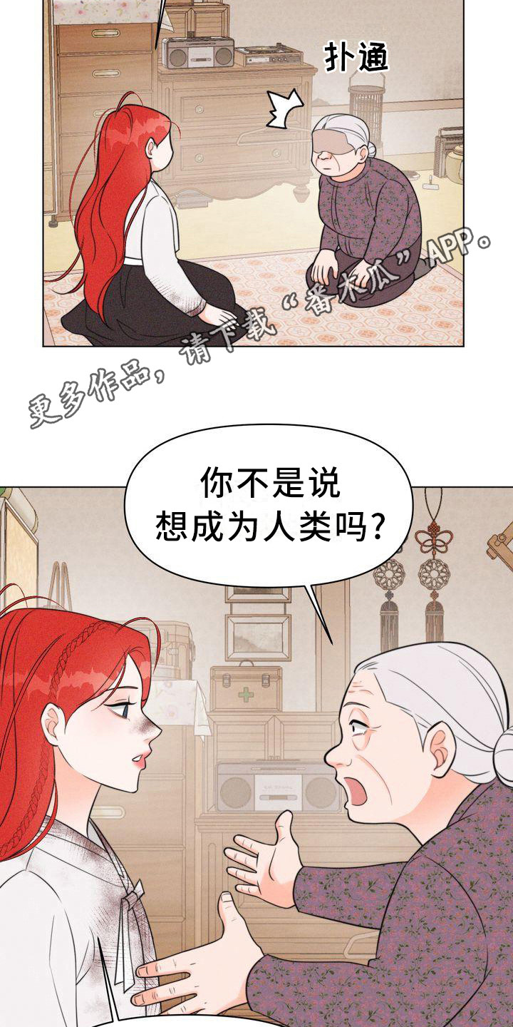 《红狐》漫画最新章节第15章：怂恿免费下拉式在线观看章节第【13】张图片