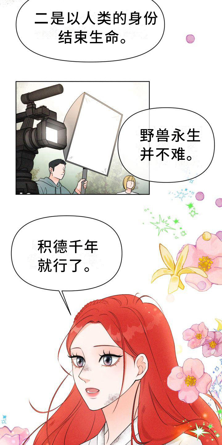 《红狐》漫画最新章节第5章：山间红衣女免费下拉式在线观看章节第【17】张图片