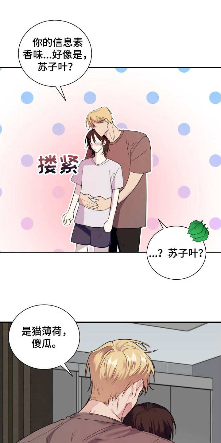 《信息素骗局》漫画最新章节第16章：看着办 免费下拉式在线观看章节第【16】张图片