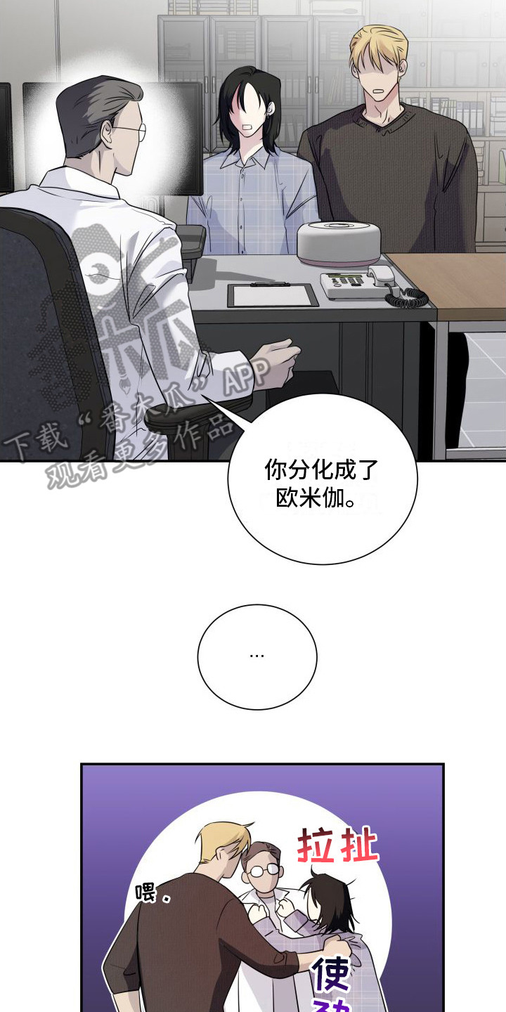 《信息素骗局》漫画最新章节第13章：分化欧米伽 免费下拉式在线观看章节第【18】张图片