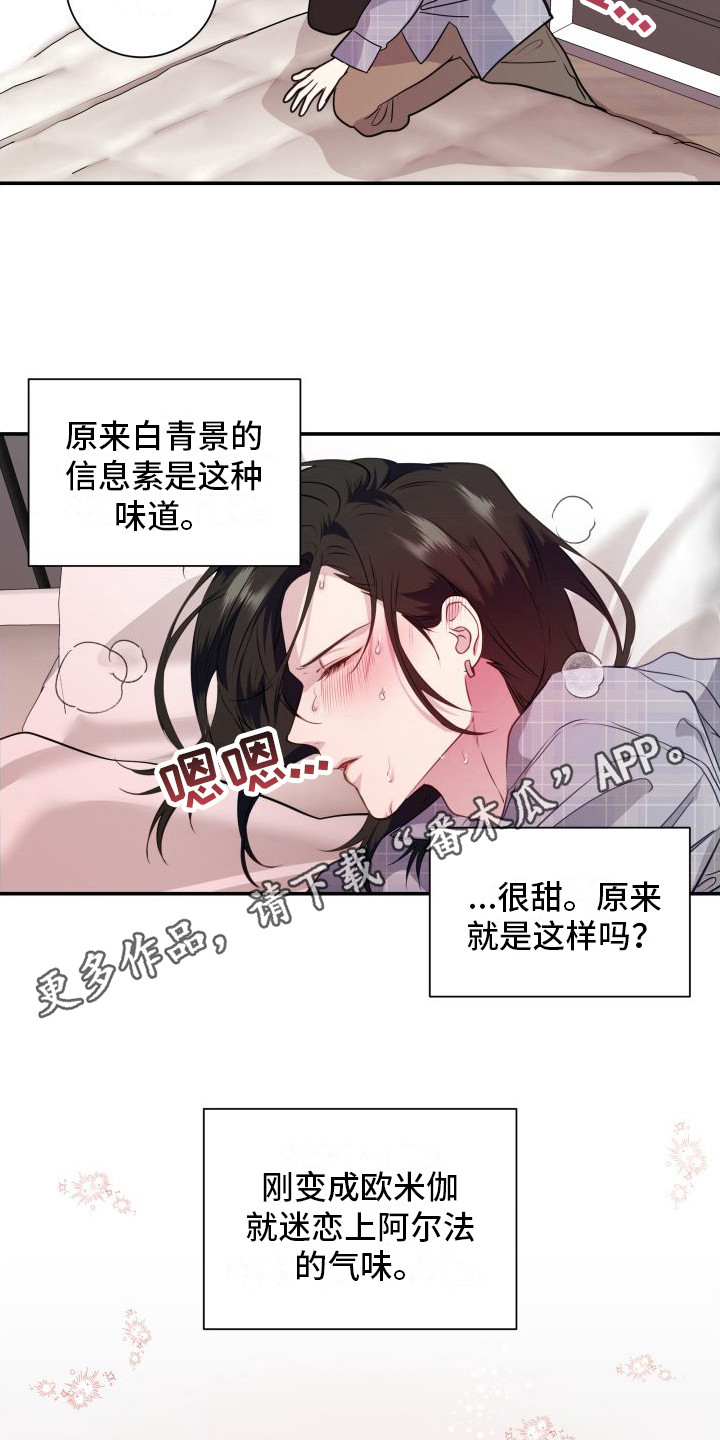 《信息素骗局》漫画最新章节第13章：分化欧米伽 免费下拉式在线观看章节第【9】张图片