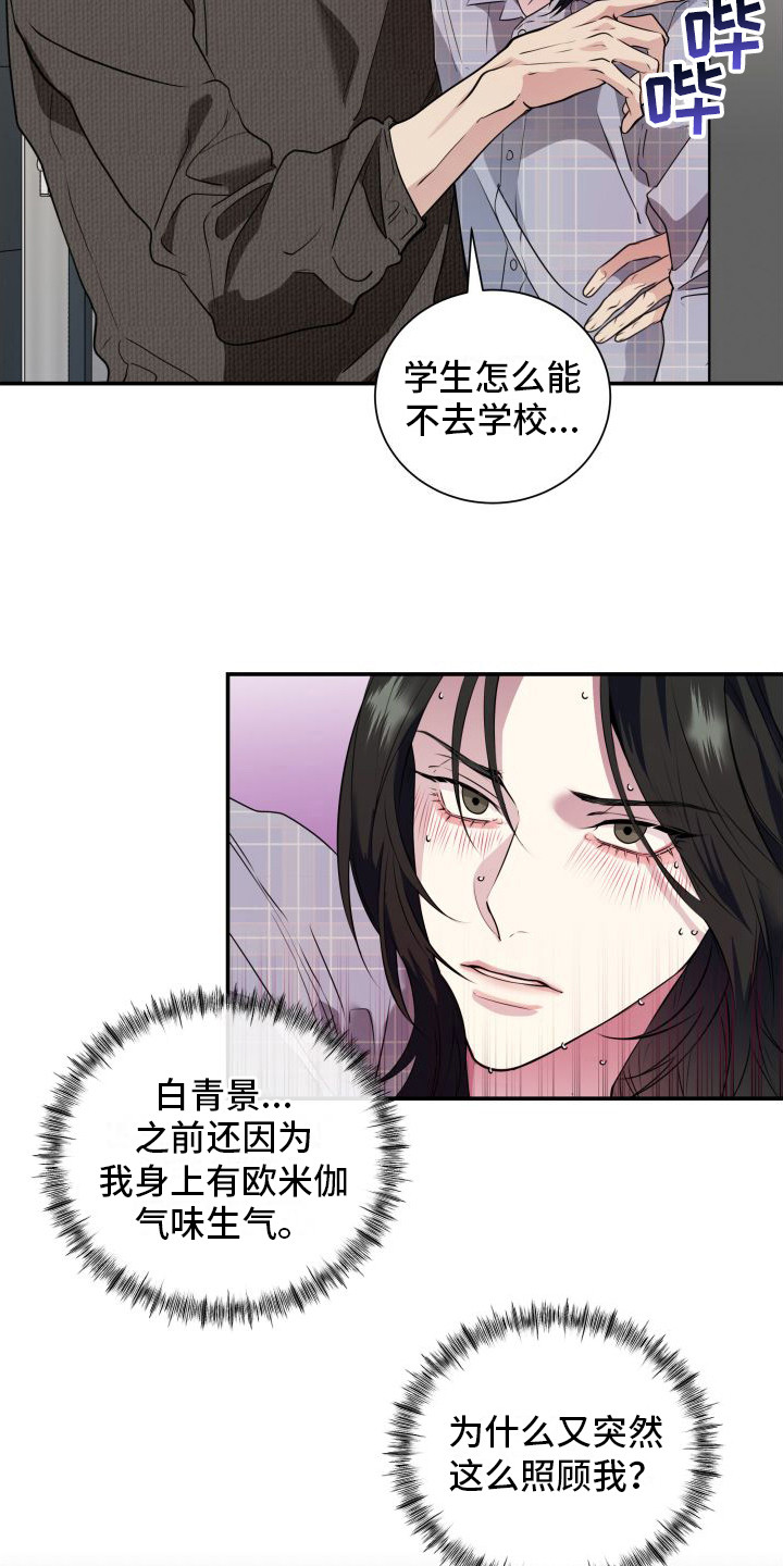 《信息素骗局》漫画最新章节第13章：分化欧米伽 免费下拉式在线观看章节第【13】张图片