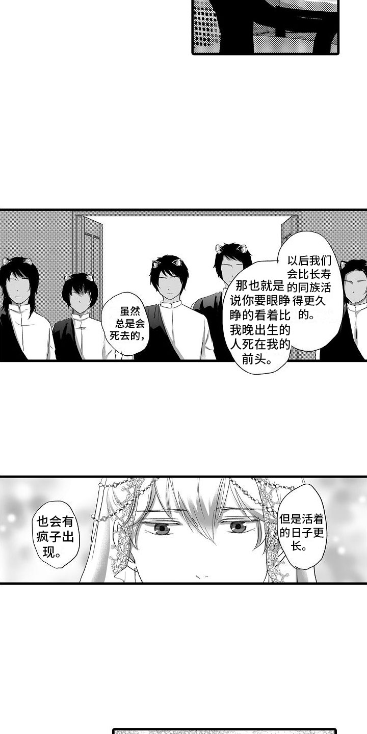 《异界野兽》漫画最新章节第22章：婚礼【完】免费下拉式在线观看章节第【25】张图片