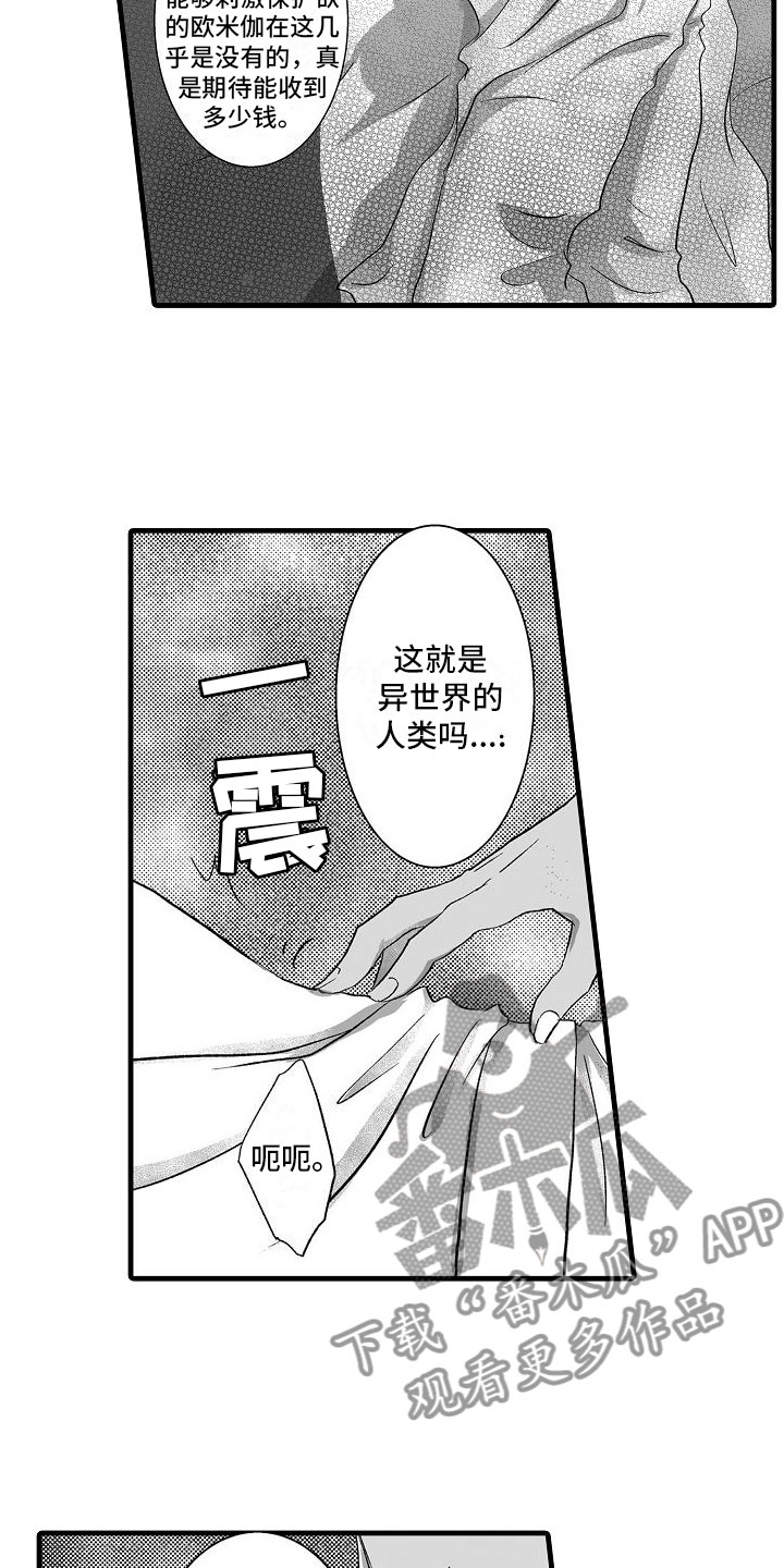 《异界野兽》漫画最新章节第7章：被绑架免费下拉式在线观看章节第【16】张图片